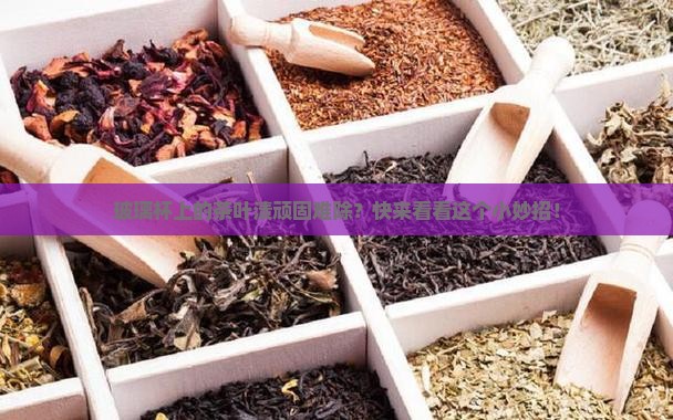 玻璃杯上的茶叶渍顽固难除？快来看看这个小妙招！