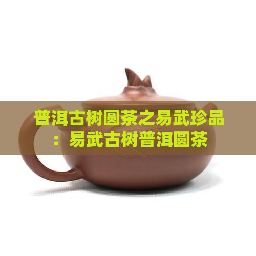 普洱古树圆茶之易武珍品：易武古树普洱圆茶
