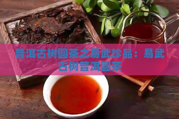 普洱古树圆茶之易武珍品：易武古树普洱圆茶