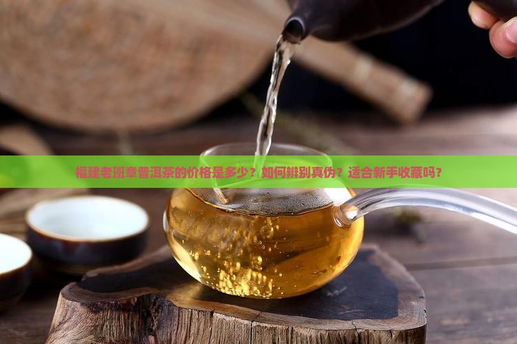 福建老班章普洱茶的价格是多少？如何辨别真伪？适合新手收藏吗？