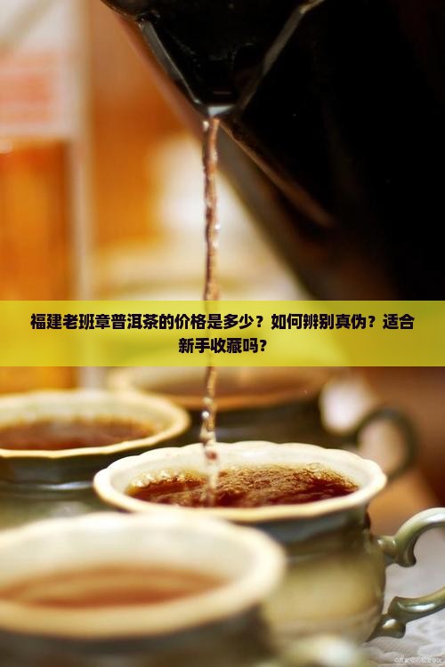 福建老班章普洱茶的价格是多少？如何辨别真伪？适合新手收藏吗？