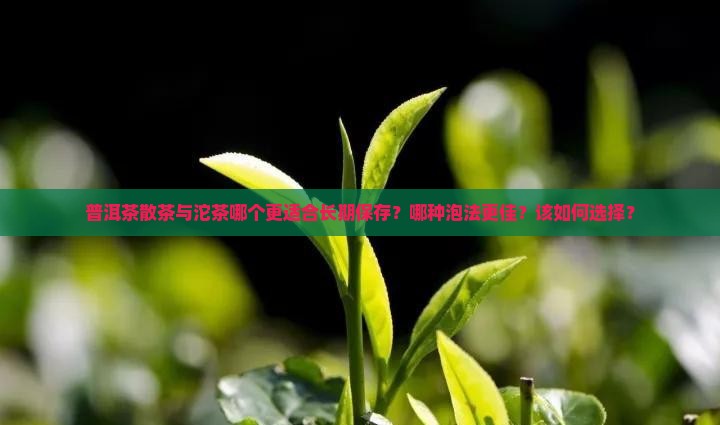 普洱茶散茶与沱茶哪个更适合长期保存？哪种泡法更佳？该如何选择？
