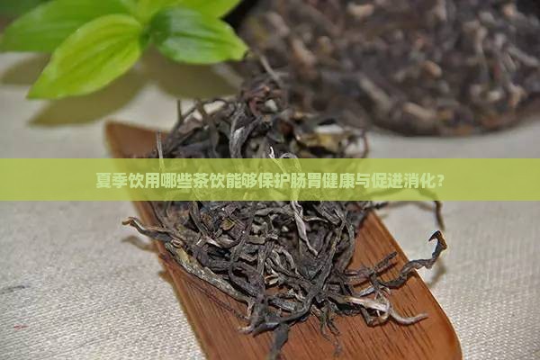 夏季饮用哪些茶饮能够保护肠胃健康与促进消化？