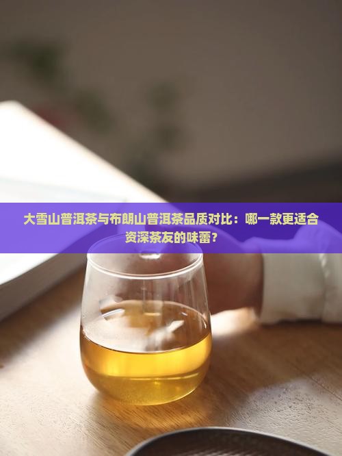 大雪山普洱茶与布朗山普洱茶品质对比：哪一款更适合资深茶友的味蕾？