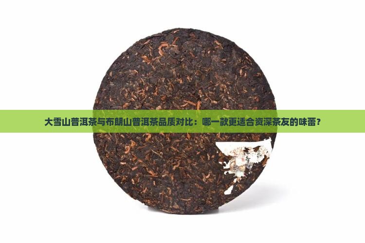 大雪山普洱茶与布朗山普洱茶品质对比：哪一款更适合资深茶友的味蕾？