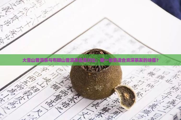 大雪山普洱茶与布朗山普洱茶品质对比：哪一款更适合资深茶友的味蕾？