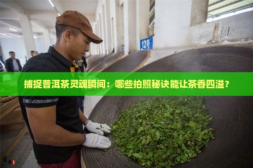 捕捉普洱茶灵魂瞬间：哪些拍照秘诀能让茶香四溢？