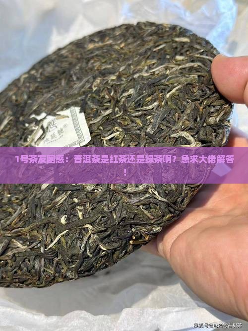 1号茶友困惑：普洱茶是红茶还是绿茶啊？急求大佬解答！