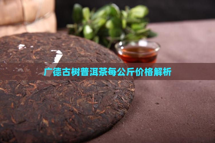 广德古树普洱茶每公斤价格解析