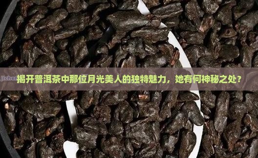 揭开普洱茶中那位月光美人的独特魅力，她有何神秘之处？