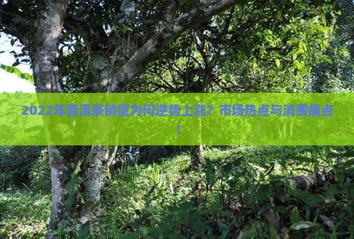2022年普洱茶销量为何逆势上涨？市场热点与消费痛点！