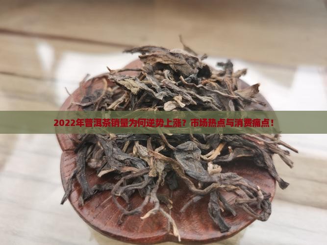 2022年普洱茶销量为何逆势上涨？市场热点与消费痛点！
