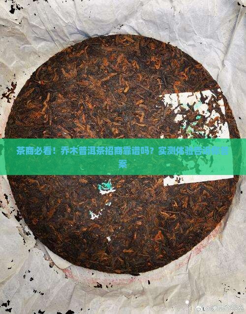 茶商必看！乔木普洱茶招商靠谱吗？实测体验告诉你答案