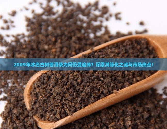 2009年冰岛古树普洱茶为何仍受追捧？探索其陈化之谜与市场热点！