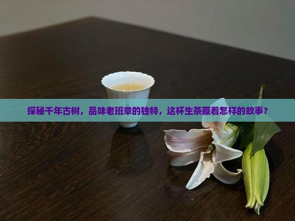 探秘千年古树，品味老班章的独特，这杯生茶藏着怎样的故事？