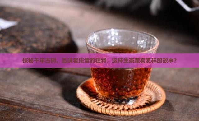 探秘千年古树，品味老班章的独特，这杯生茶藏着怎样的故事？