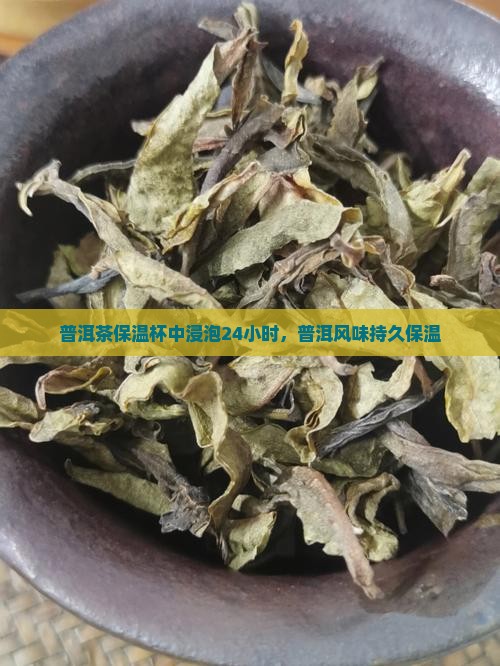 普洱茶保温杯中浸泡24小时，普洱风味持久保温
