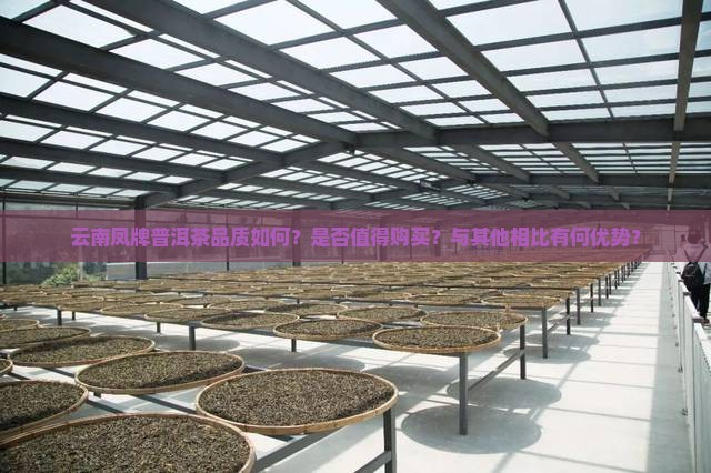 云南凤牌普洱茶品质如何？是否值得购买？与其他相比有何优势？