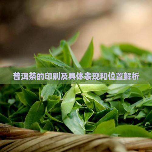 普洱茶的印别及具体表现和位置解析
