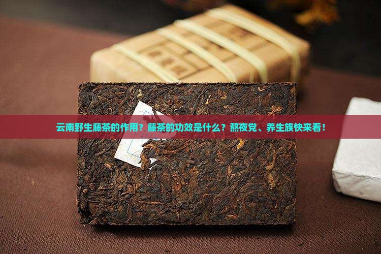 云南野生藤茶的作用？藤茶的功效是什么？熬夜党、养生族快来看！