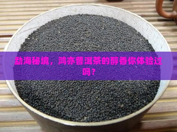 勐海秘境，鸿亦普洱茶的醇香你体验过吗？