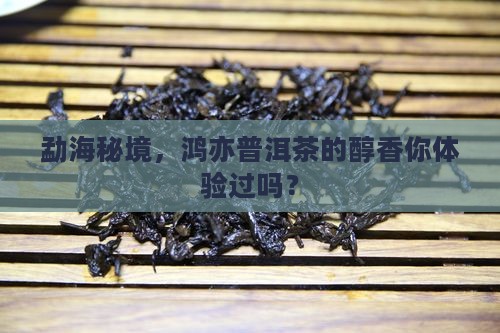 勐海秘境，鸿亦普洱茶的醇香你体验过吗？