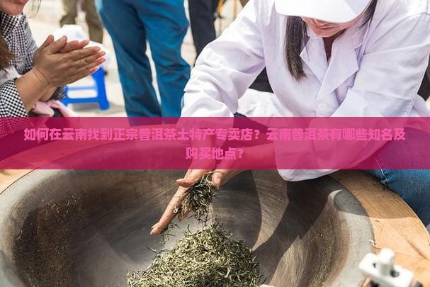 如何在云南找到正宗普洱茶土特产专卖店？云南普洱茶有哪些知名及购买地点？