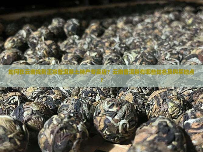 如何在云南找到正宗普洱茶土特产专卖店？云南普洱茶有哪些知名及购买地点？