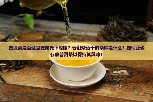 普洱茶是否适宜在阳光下晾晒？普洱茶晒干的条件是什么？如何正确存放普洱茶以保持其风味？