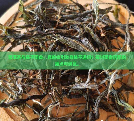 普洱茶与柿子同食，真的会引发身体不适吗？探讨两者搭配的痛点与误区。