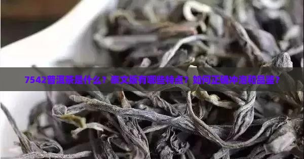 7542普洱茶是什么？泰文版有哪些特点？如何正确冲泡和品鉴？