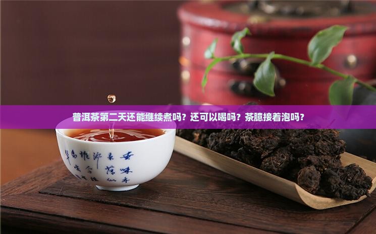 普洱茶第二天还能继续煮吗？还可以喝吗？茶臆接着泡吗？