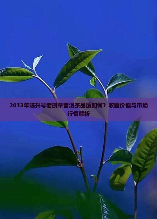 2013年陈升号老班章普洱茶品质如何？收藏价值与市场行情解析