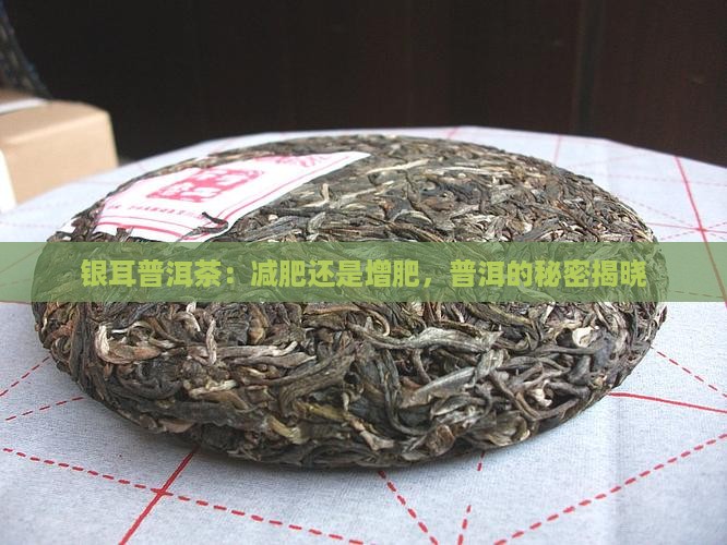 银耳普洱茶：减肥还是增肥，普洱的秘密揭晓