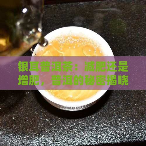 银耳普洱茶：减肥还是增肥，普洱的秘密揭晓
