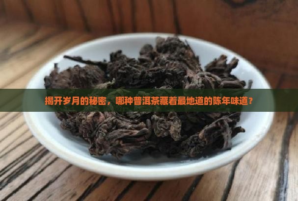 揭开岁月的秘密，哪种普洱茶藏着最地道的陈年味道？