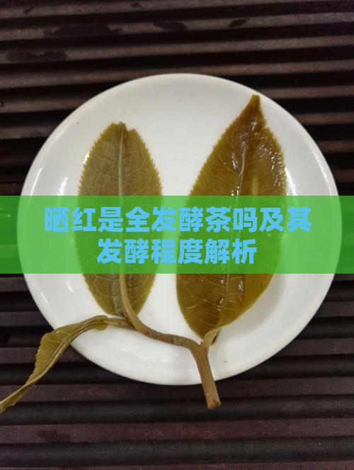 晒红是全发酵茶吗及其发酵程度解析