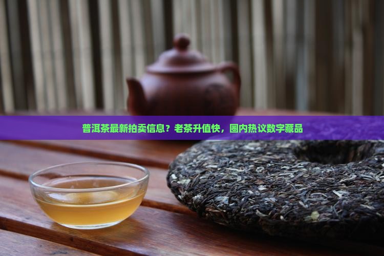 普洱茶最新拍卖信息？老茶升值快，圈内热议数字藏品