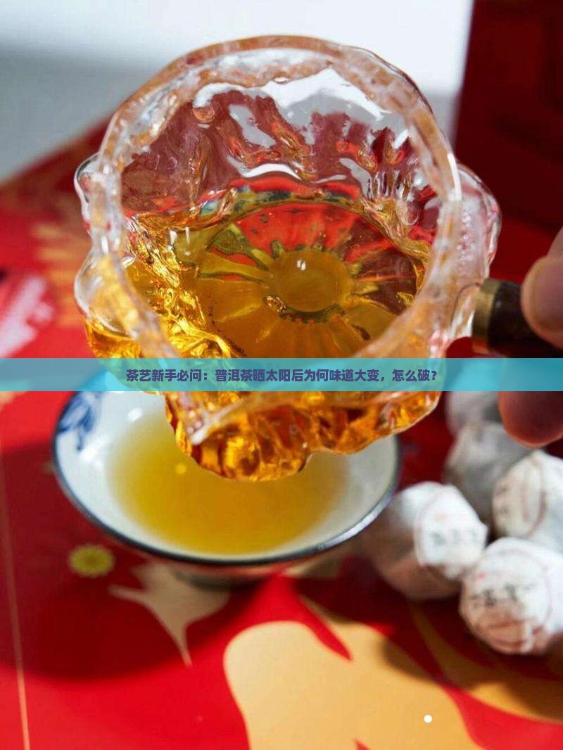 茶艺新手必问：普洱茶晒太阳后为何味道大变，怎么破？