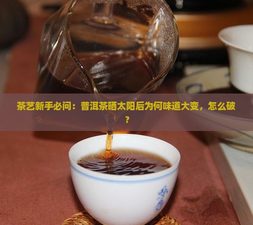 茶艺新手必问：普洱茶晒太阳后为何味道大变，怎么破？
