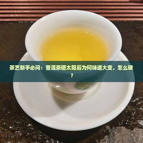 茶艺新手必问：普洱茶晒太阳后为何味道大变，怎么破？