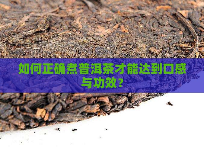 如何正确煮普洱茶才能达到口感与功效？