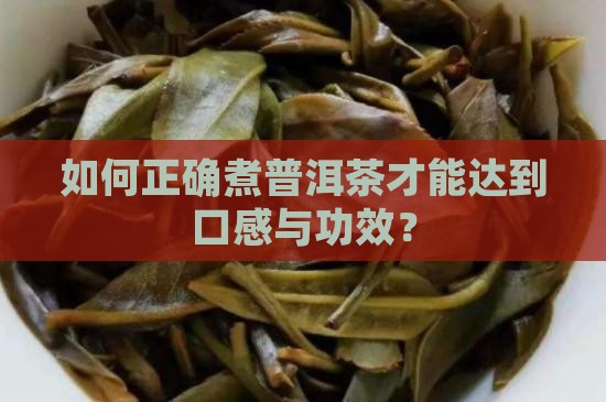 如何正确煮普洱茶才能达到口感与功效？