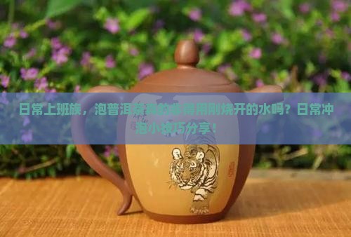 日常上班族，泡普洱茶真的非得用刚烧开的水吗？日常冲泡小技巧分享！