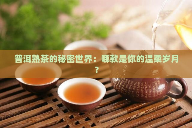 普洱熟茶的秘密世界：哪款是你的温柔岁月？