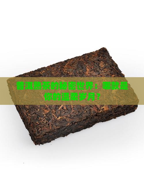 普洱熟茶的秘密世界：哪款是你的温柔岁月？
