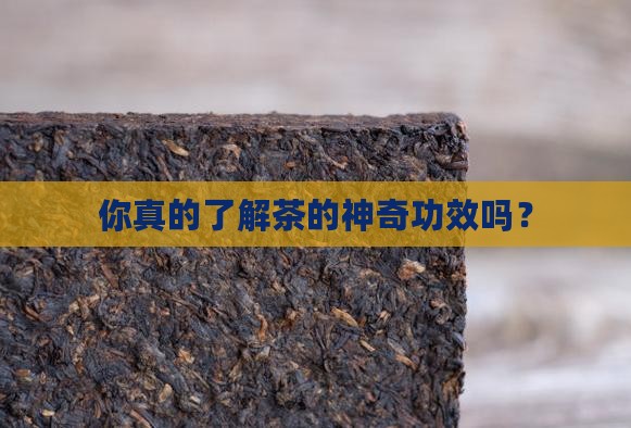 你真的了解茶的神奇功效吗？