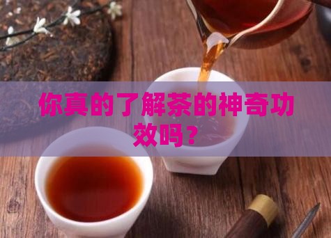 你真的了解茶的神奇功效吗？