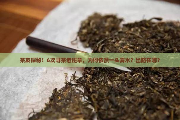 茶友探秘！6次寻茶老班章，为何依然一头雾水？出路在哪？
