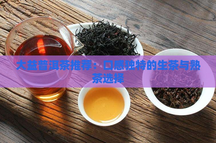 大益普洱茶推荐：口感独特的生茶与熟茶选择